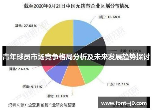 青年球员市场竞争格局分析及未来发展趋势探讨