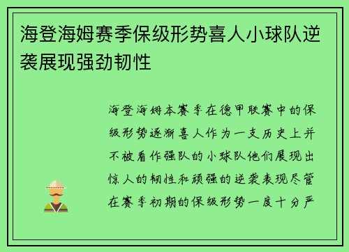 海登海姆赛季保级形势喜人小球队逆袭展现强劲韧性